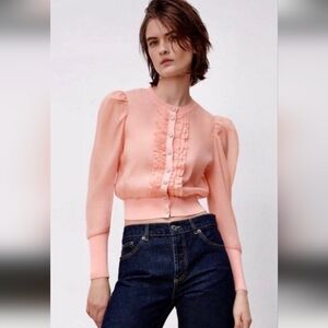 ZARA Sheer Blush Blouse | Crystal Flower Buttons Knit Waist /Romantic
